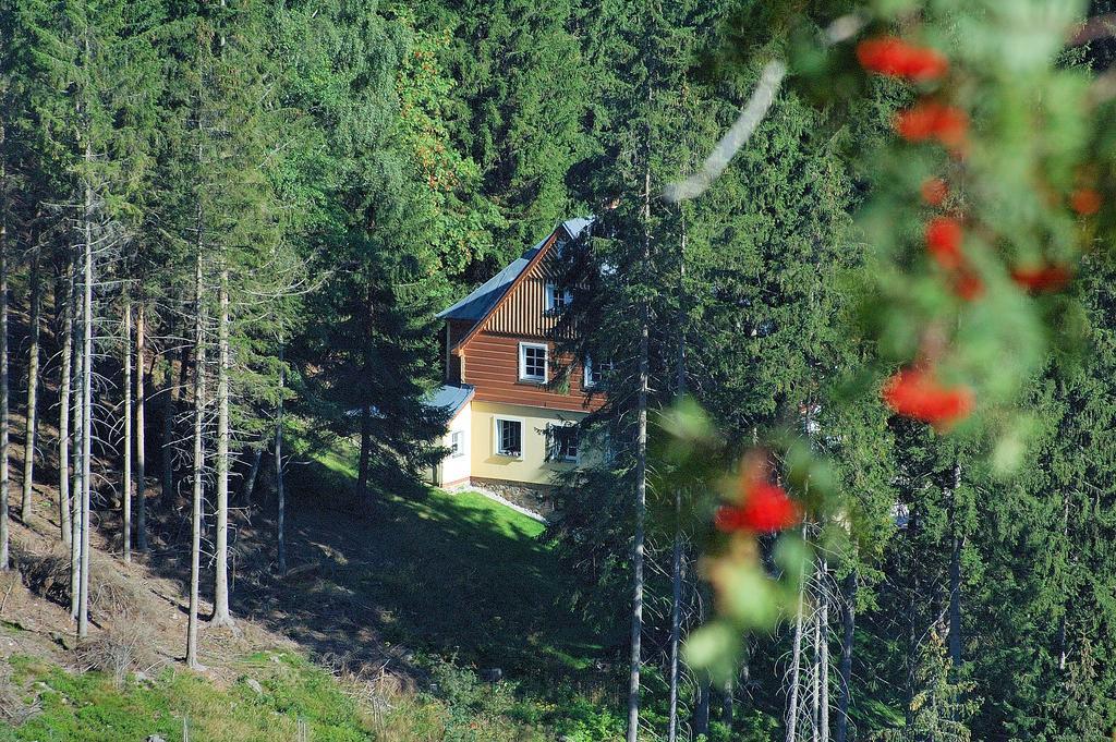 Vila Eden Apartman Pec pod Sněžkou Kültér fotó